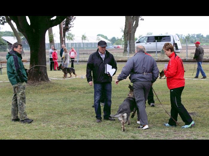 Wesensprfung und Gangwerksberprfung sind Bestandteile bei der Krung.<br />
	Foto: privat